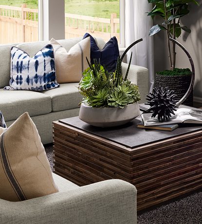 ​​All the New New at Brighton Crossings: A New Collection from Brookfield Residential and Other New Homes!